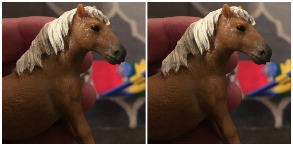 Toy Horse Has A Penis You Won t Believe YourTango